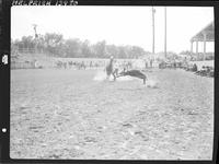 Dale Carroll Calf Roping