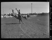 Harry Noble on Golden West