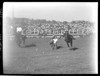 Bill Linderman Steer Wrestling