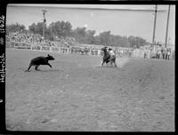 Bill Rush Calf Roping