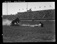 Jim Rodreguez Jr. Calf Roping