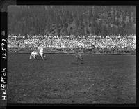 Guy Weeks Calf Roping