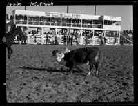 Gene Mills Steer Wrestling