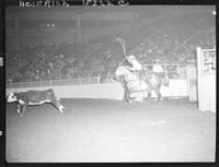 Calf roping and chute gate pics