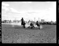 Bob Maynard Steer Wrestling