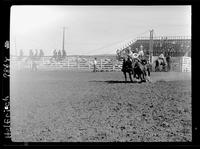 Arvine Porter Steer Wrestling