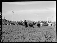 George Mills Steer Wrestling