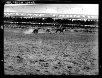 Lowell Ferrell Steer Rope