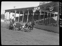 Gene Pruett Steer Wrestling
