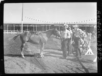 Q.H. Horse colt '57 "Sun's Big Shot" - Don B. Kidwell, Lincoln, Neb