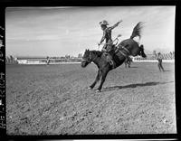 Lyle Smith on Ten Below