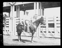 Gene Miles on Horse  (Pose)