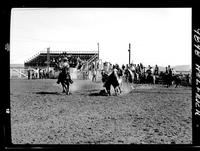 Don Losey Steer Wrestling