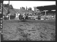 Arney Will Steer Wrestling