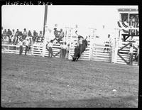 Jerry Lawhorn on #74