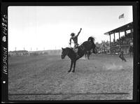 Joe Chase on Hurdler