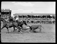 Bill Linderman Steer Wrestling