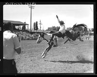 Walt Mason on Little Beaver