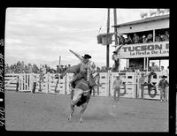 Buck Rutherford on #13