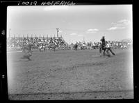 Wendel Carpenter Calf Roping