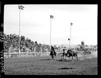 Glen Tyler Steer Wrestling