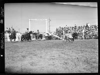 John Clem - John Rhodes Team Roping