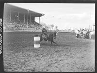 Sammy Fancher Cole - Barrel Race