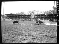 Billy McMeans Calf Roping