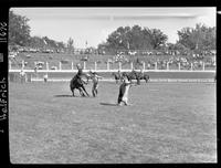 Hugh Posey Calf Roping