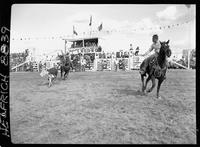 Herschel Wright - Red Brooks Team Roping