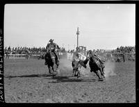 Leonard Saye Steer Wrestling