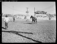 Toots Mansfield - Sonny Edwards Team Roping