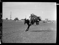 Deb Copenhaver on Chester