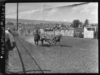 Doyle Cobler Steer Wrestling