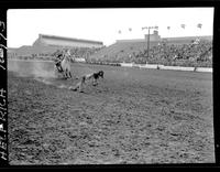 Sig Metzner Calf Roping