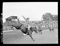 Guy Weeks on Brown Bomber