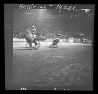 Fred Harkreader Steer Wrestling