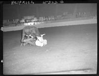 Steer Wrestling and Chute Gate pics  (8 negs)