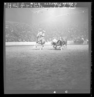 Billie Joe Duessen Steer Wrestling