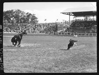 Smokey Kaiser Calf Roping