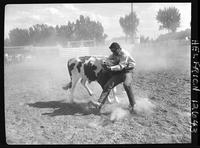 Wayne Goss Steer Wrestling