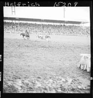 Sonny Davis Steer Roping