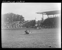 Elliott Calhoun Steer Wrestle