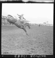 Jack Buschbom on Red River