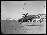 Clyde Fisher on White Neck