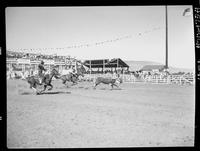 Ray Kohrs - Reg Jesperson Team Roping