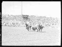 Ross Dollarhide Steer Wrestling