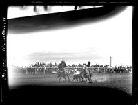 Jim Apadaco Steer Wrestling