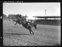 Glen Patterson on Oregon Slim