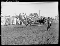 Glen Fike on Little Jack